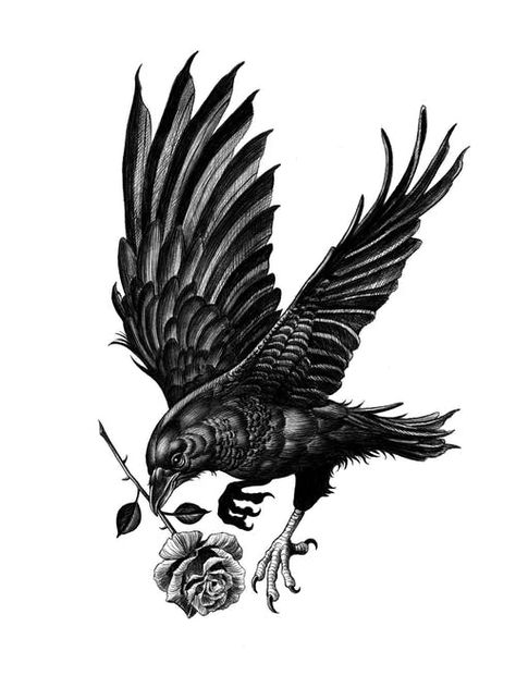 Crow Tattoo For Men, Black Crow Tattoos, Crow Tattoos, Rabe Tattoo, Crow Tattoo Design, Black Bird Tattoo, Rose Tattoo Sleeve, Crow Tattoo, Raven Tattoo