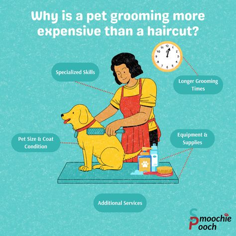 Why is pet grooming more expensive than a haircut? There are many reasons a dog and cat grooming package can be more than what it costs to get your own haircut.  The cost of pet grooming reflects the skill, time, and resources required to provide professional grooming services for pets. Own Haircut, A Haircut, Dog And Cat, Cat Grooming, Pet Grooming, Dog Grooming, A Dog, Dog Cat, Pet