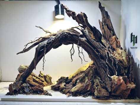 Aquascape Driftwood, Aqua Tank, Aquarium Driftwood, Custom Aquarium, Aquascape Design, Fish Tank Design, Aquarium Landscape, Fishing Room, Aquarium Setup