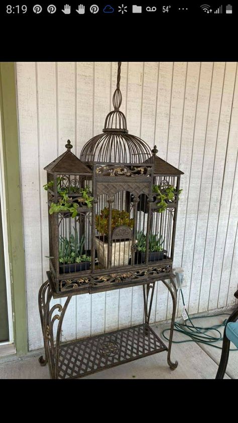 Large Bird Cage Decor Ideas, Vintage Bird Cage Decor, Farmhouse Floral Decor, Shabby Chic Cottage Farmhouse, Birdcage Planter, Vintage Birdcage, Gilded Cage, Large Bird Cages, French Theme