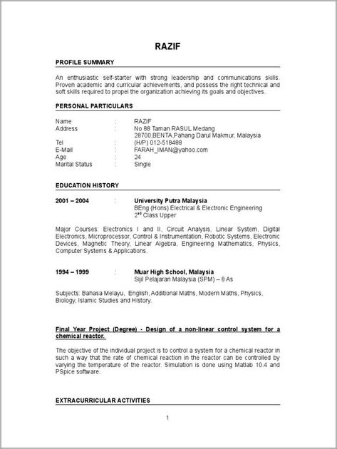 resume tips Professional Summary For Resume, 2023 Resume, Resume Summary Statement, Professional Summary, Writing A Resume, History University, Resume Summary Examples, Resume Professional, Hindi Alphabet