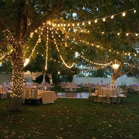 Backyard Wedding Reception, Wedding Reception Menu, Wedding Backyard Reception, Backyard Reception, Wedding Reception Ideas, Yard Wedding, Garden Wedding Decorations, Outdoor Wedding Reception, Outdoor Wedding Decorations