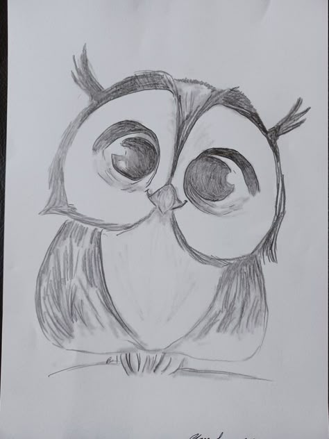 Cute Owl Drawing - Etsy UK