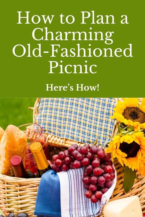 How to Plan a Charming Old-Fashioned Picnic | by PomeroySays | May, 2024 | Medium Church Picnic Ideas, Old Fashioned Picnic, Church Picnic, Vintage Picnic, Picnic Ideas, Love Is Gone, Womens Ministry, Old Fashion, May 2024