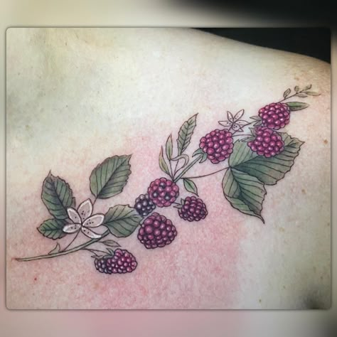 Boysenberry Tattoo, Dainty Raspberry Tattoo, Berry Vine Tattoo, Raspberry Flower Tattoo, Black Raspberry Tattoo, Raspberry Tattoos, Raspberries Tattoo, Raspberry Vine Tattoo, Fruit Vine Tattoo