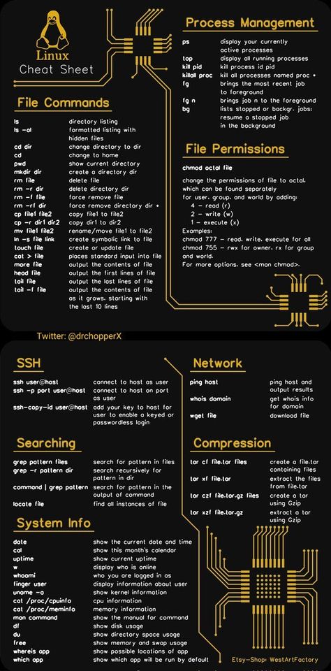 (4) Home / Twitter Computer Networking Basics, Linux Commands, Networking Basics, Osi Model, Learn Hacking, Basic Computer Programming, Computer Science Programming, Learn Computer Science, Computer Learning