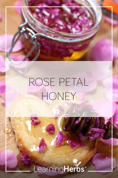 Dried Rose Petal Recipes, Dry Rose Petals Diy, Forage Recipes, Rose Petal Recipes, Herbal Honey, Alaska Recipes, Rose Petal Jam, Learning Herbs, Princess Food