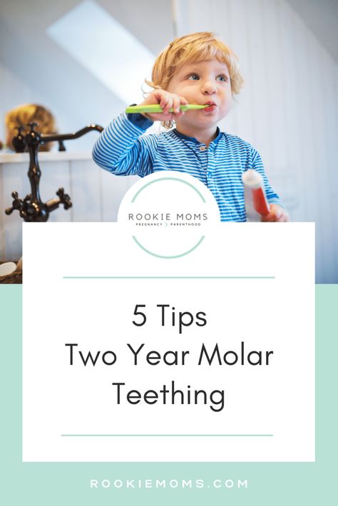 2 Year Molars Teething Tips, Teething Hacks For Toddlers, Fever Reducer For Toddlers, Toddler Teething Remedies, 2 Year Molars, Teething Hacks, Baby Remedies, Teething Symptoms, Teething Toddler