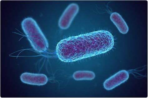 2020: The authors conclude the study by suggesting that a “combination of cell-wall-targeting antibiotics with other classes of antibiotics, such as those targeting the bacterial membrane” may be an effective way of beating recurrent infections where L-form bacteria are present. Clinical Microbiology, Brain Connections, Gut Brain, Gut Microbiota, Gut Bacteria, International Conference, Neurological Disorders, Gut Microbiome, Urinary Tract