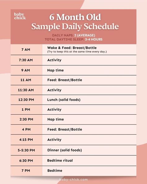 6 month old sample daily schedule graphic 6 Months Baby Schedule, 6 Month Old Routine, 9 Month Old Daily Schedule, Six Month Old Feeding Schedule, 6 Month Schedule Baby, 6 Month Feeding Schedule, Feeding Schedule For 6 Month Old, 6 Month Old Feeding Schedule, 4 Month Old Schedule