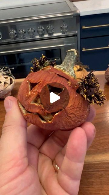 Metropolitan Market on Instagram: "Try the fun and easy shrunken pumpkin heads. #halloween #beetlejuice" Halloween Decor Crafts, Jack O Lantern Diy, Halloween Beetlejuice, Pumpkin Heads, Pumpkin Delight, Happy Haunting, Halloween Craft Projects, Pumpkin Carving Designs, October Crafts