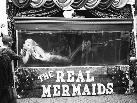 "The Real Mermaids" by Andrew Sweigart Ama Divers, Circus Mermaid, Mermaid Aquarium, Caught Mermaid, Old Mermaid Art, Zodiac Party, Photographers Bag, Mermaids 1990, Busby Berkeley