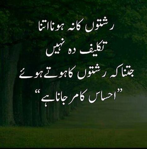 Rishtey Quotes In Urdu, Islamic Stories, Status Motivational, Inspirational Quotes In Urdu, Impress Quotes, Motivational Movie Quotes, Amazing Inspirational Quotes, Some Good Quotes, Beautiful Morning Messages