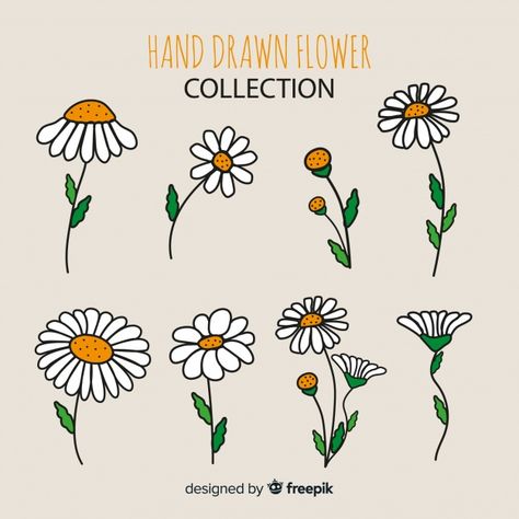 Flower collection | Free Vector #Freepik #freevector #freebackground #freeflower #freefloral #freeflowers Daisy Flower Drawing, Daisy Drawing, Spring Flowers Background, Rock Flowers, Daisy Art, Background Flower, Print Design Art, Flower Collection, Art Drawings Sketches Pencil