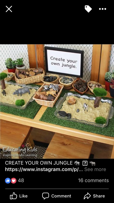 Preschool Jungle, Jungle Activities, Reggio Inspired Classrooms, Eyfs Classroom, Eyfs Activities, Nursery Activities, Childcare Activities, Daycare Activities, Reggio Inspired