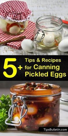 Canning Pickled Eggs, Best Pickled Eggs, Spicy Pickled Eggs, Recipes For Canning, Canned Pickled Beets, Pickled Quail Eggs, Preserving Eggs, Pickled Eggs Recipe, Pickled Vegetables Recipe