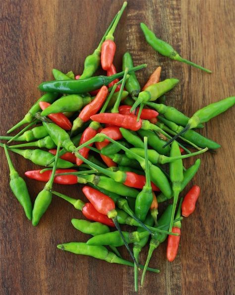 A food that increases metabolism and burns calories?  Add some spicy chili peppers into your next meal! Foods That Increase Metabolism, Birds Eye Chili, Chili Spices, Sweet Potato Chili, Chili Cook Off, Bbc Food, Spice Shop, Habanero Peppers, Grocery Foods