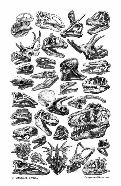 Calaveras Scientific Drawing, Skulls And Bones, Dinosaur Tattoos, Paleo Art, Symbol Tattoos, Dinosaur Art, Prehistoric Creatures, Scientific Illustration, Wallpaper Vintage