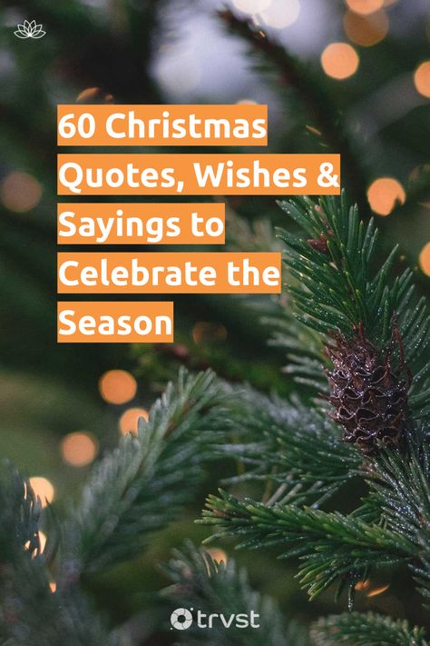 Quotes On Christmas Season, Christmas Healing Quotes, Ready For Christmas Quotes, Christmas Tradition Quotes, Christmas Holiday Quotes, Christmas Week Quotes, Home For Christmas Quotes, Almost Christmas Quotes, Holiday Images Winter