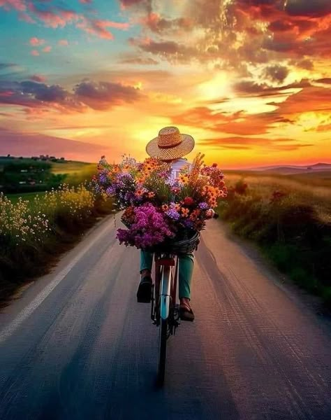 Beach Bike Pictures, Bicycling Aesthetic, Nature Decorations, Bicycle Aesthetic, Bicycle Photography, Animals And Flowers, Bike Pictures, Funny Good Morning, Funny Good Morning Quotes