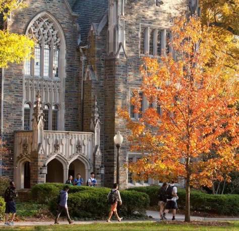 Autumn Leaves Falling, Leaves Falling, Autumn In New York, Fall Mood Board, Fall Semester, Fall Mood, Romanticizing School, Uni Life, University Life