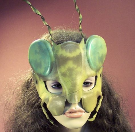 Pest Mask, Grasshopper Costume, Insect Mask, Bug Mask, Frog Mask, Bug Eyes, Aesop's Fables, Book Vibes, Aesops Fables