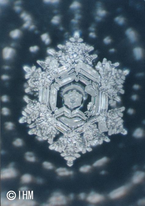 Dr Masaru Emoto on Human Consciousness and Water Masaru Emoto Water, Masaru Emoto, Water Experiments, Structured Water, Charcoal Drawings, Water Molecule, Crop Circles, Fukushima, Positive Words