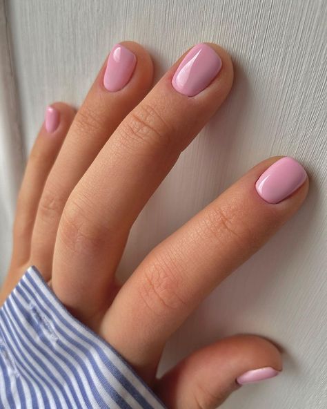 Pink Nail Manicure, Short Gel Nails Spring Simple, Pastel Shellac Nails, Shellac On Short Nails, Simple Pink Nails Short, Pastel Dip Nails, Short Nails Pastel, Short Plain Nails, Pastel Nails Short