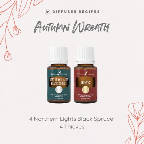 Northern Lights Black Spruce, Fall Essential Oil Blends, Spruce Essential Oil, Young Living Oils Recipes, Living Oils Recipes, Fall Essential Oils, Black Spruce, Essential Oil Diffuser Blends Recipes, Young Living Essential Oils Recipes