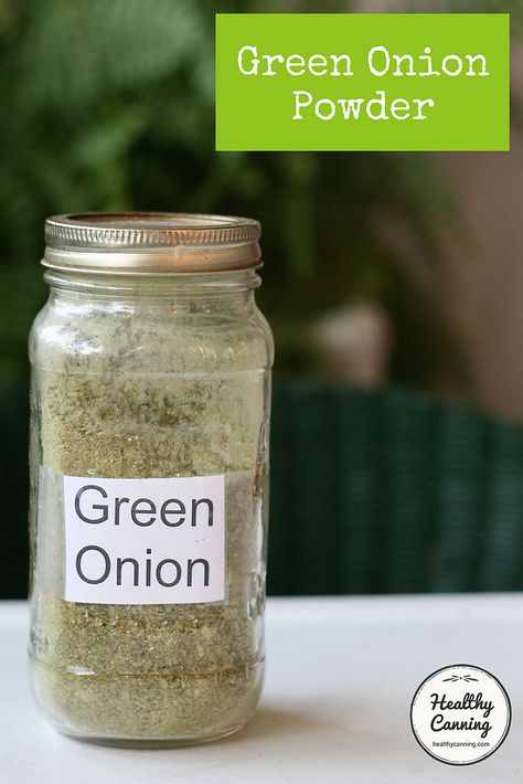 Green Onion Powder - Healthy Canning Pickled Green Onions Recipe, Onion Powder Recipe, Vegetable Powders, Soaking Grains, Healthy Canning, Onion Dip Mix, Green Onions Recipes, Flake Recipes, Dehydrating Food Storage