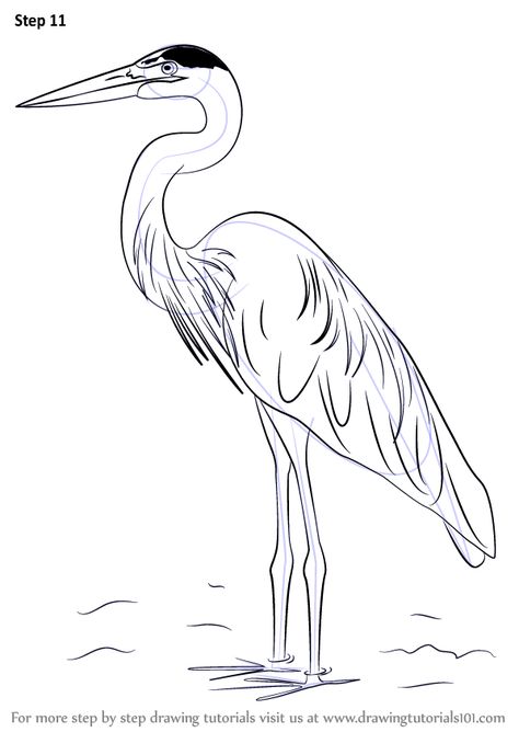 Learn How to Draw a Great Blue Heron (Birds) Step by Step : Drawing Tutorials Heron Art, Great Blue Heron, Hur Man Målar, Drawing Supplies, Step Drawing, Art Instructions, Learn How To Draw, Blue Heron, Bird Drawings