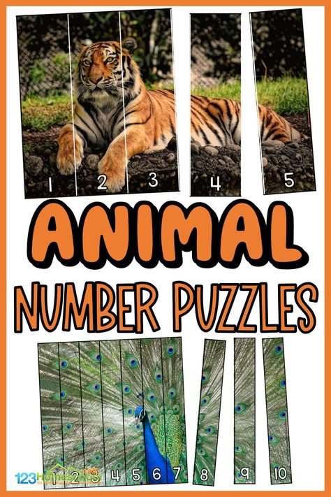 Grab these Animal Puzzles for a fun way to practice number sequencing and have fun with real pictures of fascinating wild animals at the same time. If your child likes cute animals, then this animal math is sure to interest them and make this an engaging number sequencing game for your preschool, pre-k, and kindergarten age students. Simply print the free animl printables to use this number sequencing activities for preschoolers. Number Sequencing Activities, Zoo Animals Preschool Activities, Wild Animals Printable, Zoo Activities Preschool, Animal Math, Zoo Animals Preschool, Zoo Animal Activities, Preschool Jungle, Jungle Activities