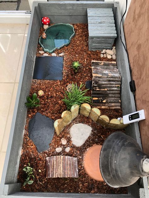 Aesthetic Tortoise Enclosure, Cool Tortoise Enclosure, Small Tortoise Enclosure, Turtle House Ideas, Tortoise Enrichment Ideas, Tortoise Burrow Diy, Tortoise Home, Indoor Tortoise Enclosure Diy, Tortoise Enclosure Indoor