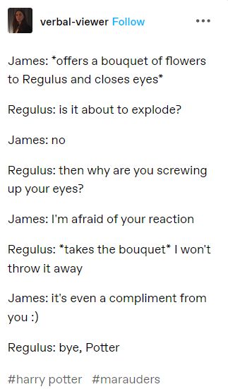 Jegulus Parents, Spicy Jegulus, Jegulus Spicy, Only The Brave Jegulus, Jegulus Headcanons Spicy, Jegulus Fanfic, Jegulus Headcanons, Marauders Jegulus, Regulus Acturus Black