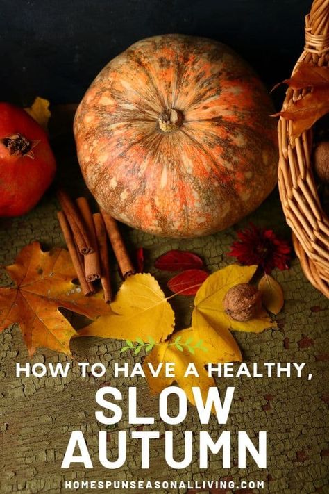 Use the autumn season to reset habits and simplify with these healthy, slow living ideas for fall. Get easy ideas for yourself and your home on our blog. #seasonalliving #simpleliving #homesteading Fall Homemaking, Autumn Hygge, Fall Hygge, Slow Parenting, Autumn Cottagecore, Cottagecore Living, Hygge Living, Seasonal Living, Seasonal Produce