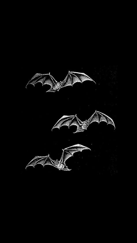 Bat Lockscreen, Lance Orion Zodiac, Orion Zodiac Academy, Scary Drawings, Zodiac Academy, Star Black, Tattoo Art Drawings, Skull Wallpaper, Dark Tattoo