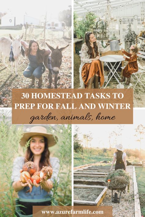 Winter On The Farm, Farmstead Aesthetic, September Meals, Azure Farm, Fall On The Farm, Dream Homestead, Winter Farm, Happy Homemaking, Micro Farm