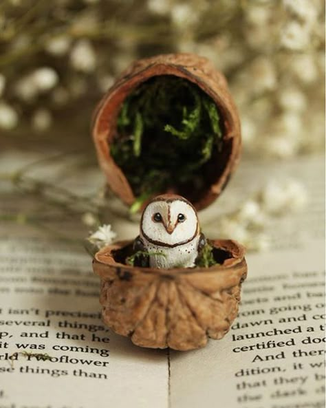 Walnut Crafts, Walnut Shell Crafts, Theme Harry Potter, Deco Nature, Owl Crafts, Walnut Shell, Miniature Crafts, Tiny Things, Owl Art