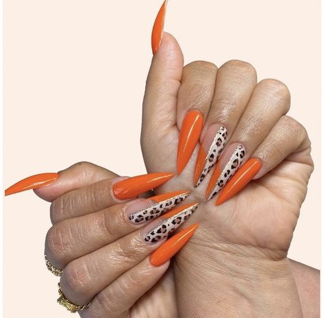 Leopard Print Nails Orange, Orange Animal Print Nails, Bright Stiletto Nails, Orange Leopard Nails, Stilleto Nails Designs Summer, Nail Art Stilleto, Summer Leopard Nails, Orange Stiletto Nails, Nail Ideas Graduation