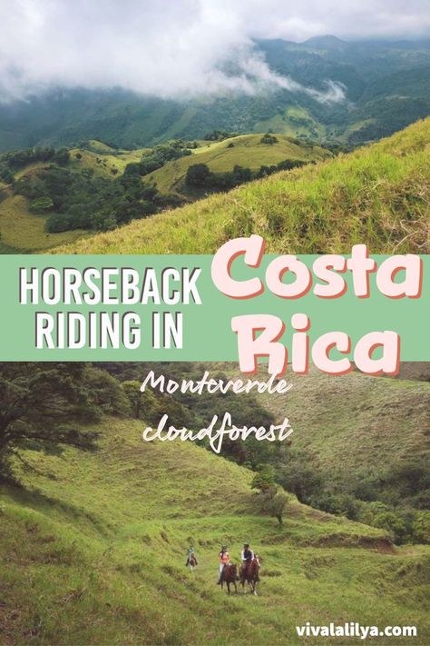 In many parts of Costa Rica, the roads are really bad. If you take a drive through Monteverde, you’ll see why many people prefer horseback. Horseback Riding Costa Rica, Costa Rica Travel Guide, Cloud Forest, Monteverde, Costa Rica Travel, Drive Through, Horseback Riding, Travel Bucket List, The Clouds