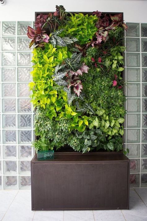 Vertical Plant Wall, Diy Garden Landscaping, Vertical Wall Planter Pots, Garden Wall Designs, Indoor Plant Wall, Vertical Wall Planters, Vertical Vegetable Garden, Vertical Garden Wall, Plants Growing