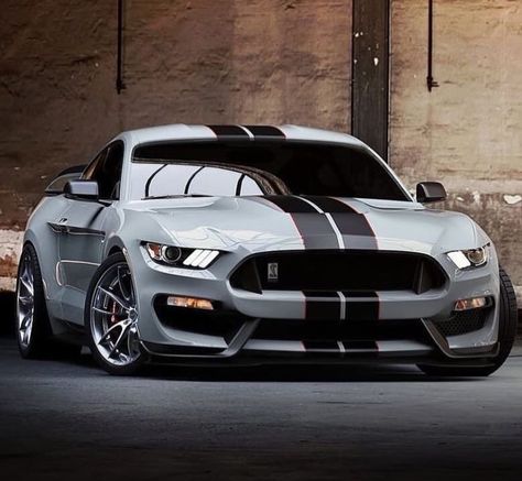 Ford Mustang Shelby Gt350, Ford Mustang Wallpaper, Shelby Gt 500, Shelby Gt350, Mustang Gt500, Classic Mustang, Mc Laren, Ford Shelby, Bentley Continental Gt