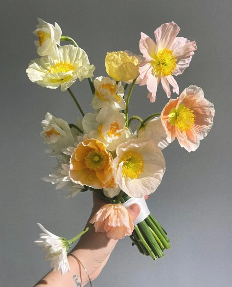 A little poppy/sunlight action from @flwrandwater that we couldn't resist 🏵️☀️ Happy Friday! #thefloristquarter #flwrandwater #newcastleflorist #newcastleflowers #australianflorists #freelanceflorists #australianfloristdirectory #forflowerlovers #flowercommunity #floristcommunity #communityovercompetition Pink Poppy Bouquet, Matilija Poppy Bouquet, Poppy Flowers Wedding, Wedding Bouquet Poppies, Flower Bouquet Reference, Cornflower Wedding Bouquet, Poppy Wedding Flowers, Wedding Poppies, Poppy Bridal Bouquet