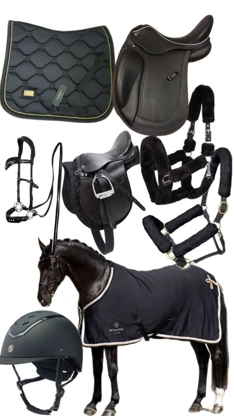 Black Horse Tack, Horse Riding Clothes, Riding Clothes, Horse Equipment, Friesian Horse, Dream Horse, The Farmer, Horse Life, Equestrian Outfits