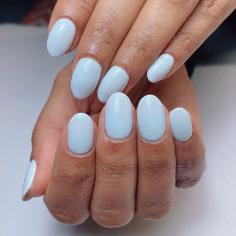 Light Blue Pastel Nails, Short Almond Baby Blue Nails, Light Colors For Nails, Light Light Blue Nails, Light Blue Shellac Nails, Light Blue Nails Round, Simple Nails Light Blue, Pale Blue Acrylic Nails, Light Blue Nail Color