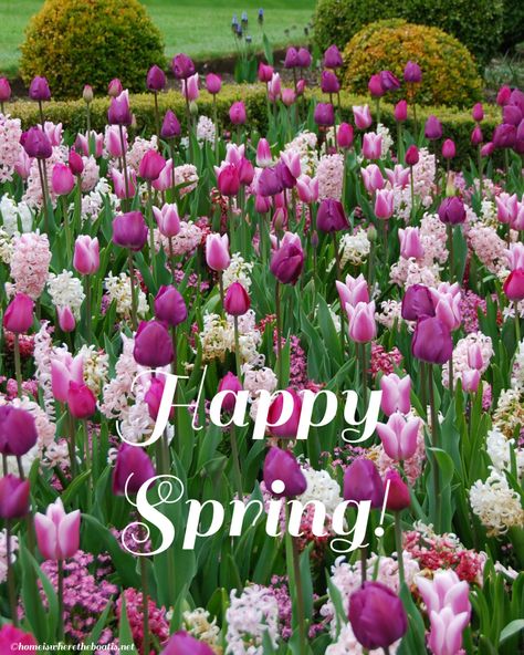 Happy Spring! | ©homeiswheretheboatis.net #garden #spring #flowers #tulips Welcome Spring Pictures, Happy Spring Images, Healing Energy Art, Pictures Of Spring Flowers, Happy Spring Day, Wallpaper Edgy, Happy First Day Of Spring, Background Retro, Spring Quotes