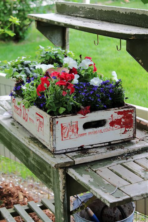 A gorgeous patriotic planter from an old soda crate. Soda Crate Decor, Patriotic Planters, Wooden Crates Garden, Old Coke Crates, Hinges Diy, Wooden Cooler, Crate Decor, Repurposed Decor, Vintage Soda