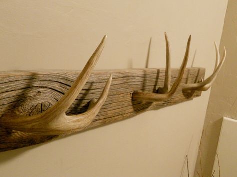 Antler towel rack"..... Single point horns instead, with dull tips. Antler Towel Rack, Antler Coat Rack, Deer Antler Ideas, Antler Projects, Deer Antler Crafts, Antler Ideas, Deer Antler Decor, Antlers Decor, Antler Crafts