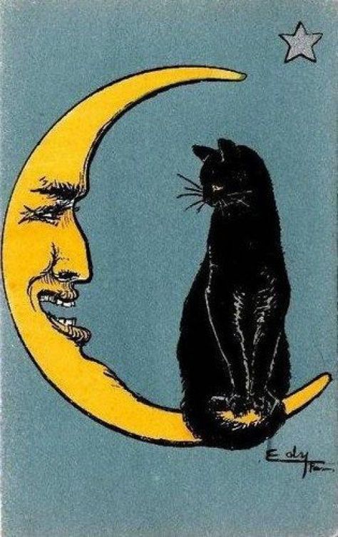 From a vintage French postcard, circa 1917 A Black Cat, A Drawing, Crescent Moon, A Cat, A Black, Crescent, Black Cat, Moon, Black