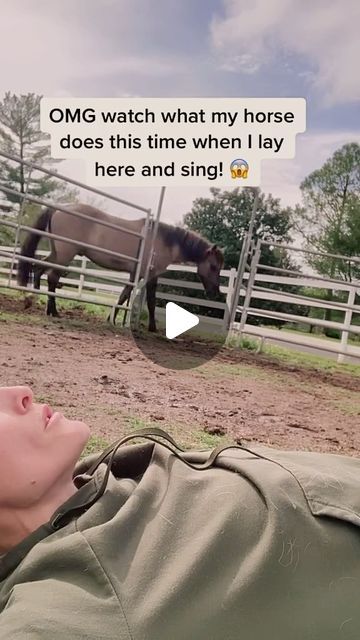 Chelsey Stallings on Instagram: "One of my FAVORITE moments ever!!!!!! I was so shocked by this!!!!!   #horses #horselove #animalreels #horsereels #singer #singerlife #farm #ranchlife #mustang #mustanghorse #wildhorse @billieeilish #crazyhorse #omg" Wild Horse Videos, Horses Cartoon, Horses In The Snow, Horse Trotting, Horse Riding Videos, Mustang Horses, Unusual Horse, Wild Horses Mustangs, Funny Horse Videos